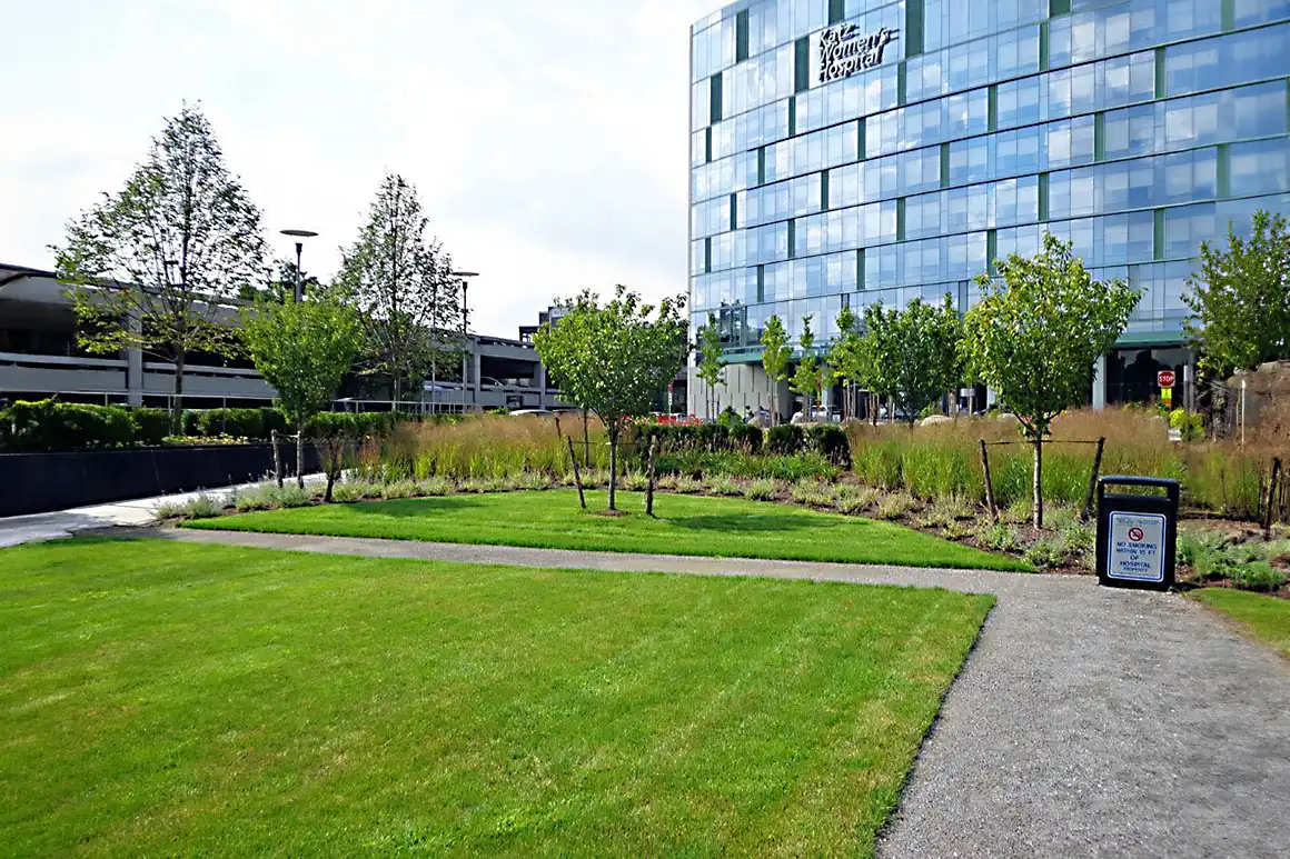 Landscape / Irrigation Designs