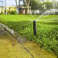 Pre-Post Emergent Fertilizer